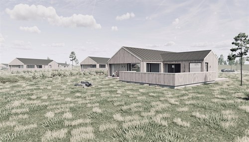 estate