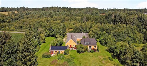 estate