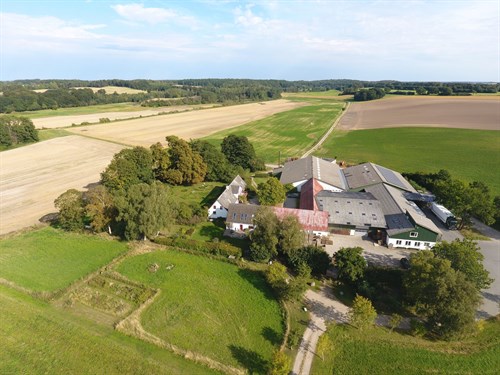 estate