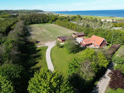 estate