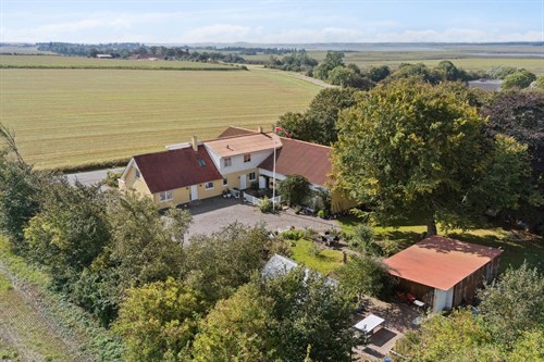 estate