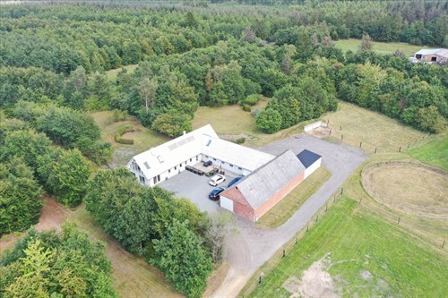 estate