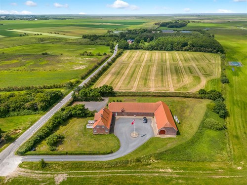 estate