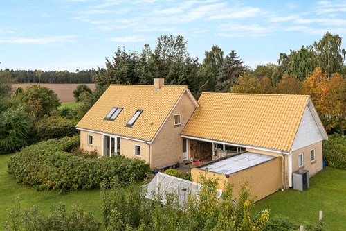 estate