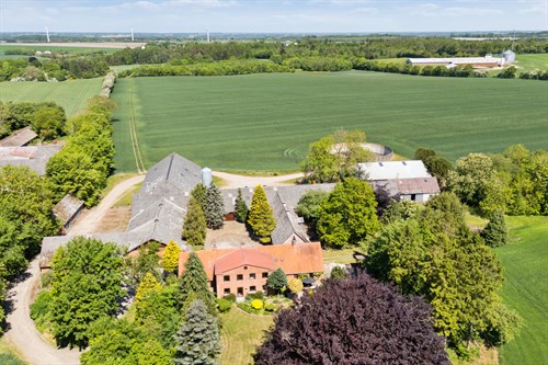 estate
