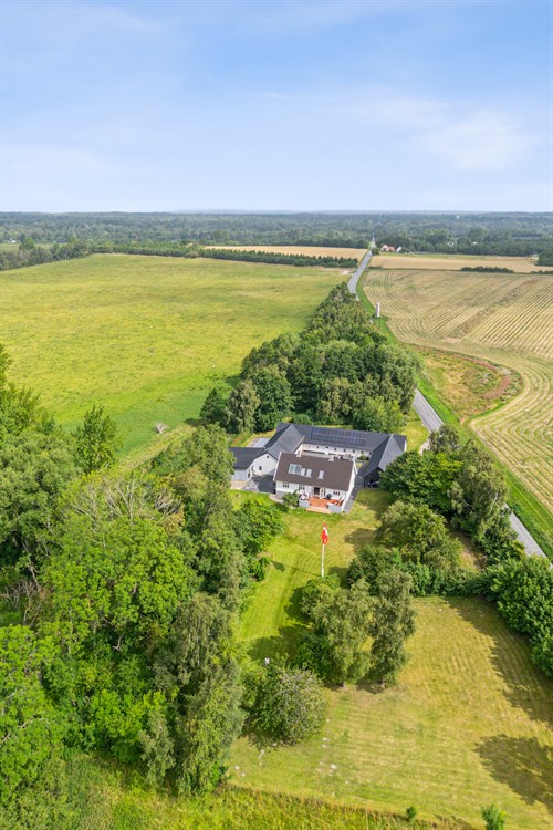 estate