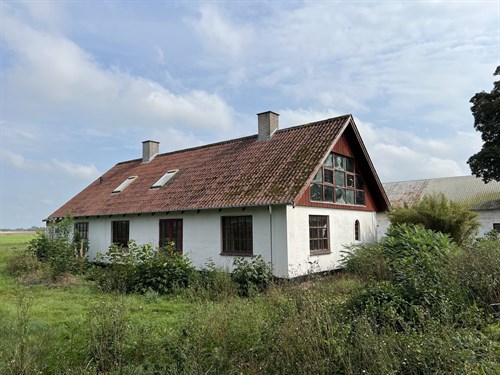 estate