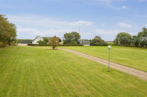 estate