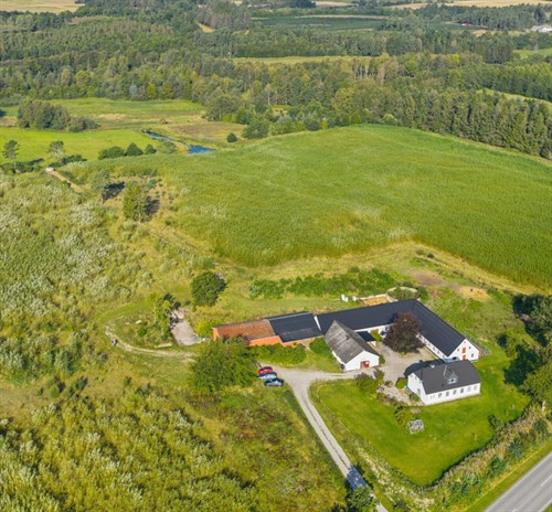 estate