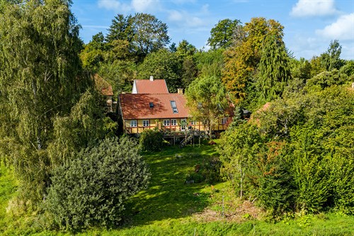 estate