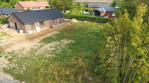 estate