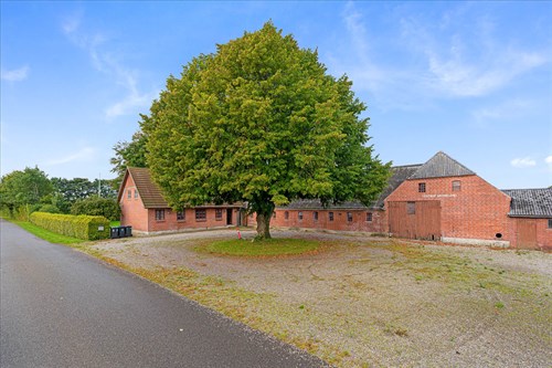 estate
