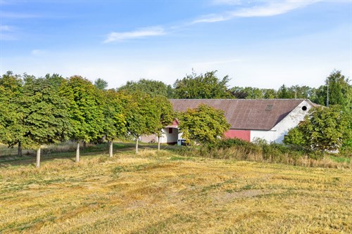 estate