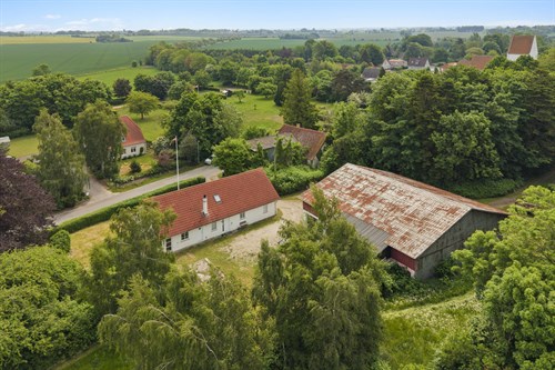 estate