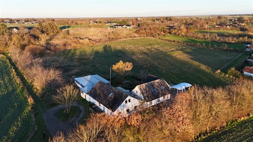 estate
