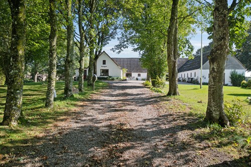 estate