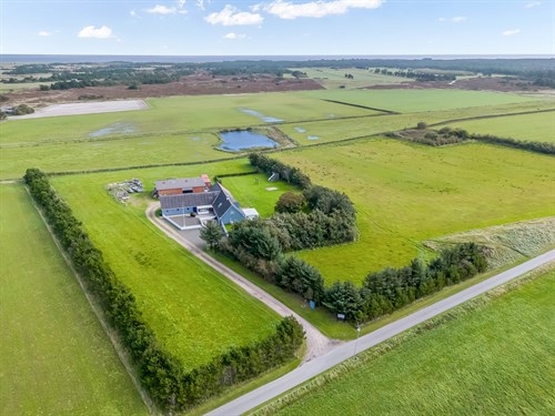 estate