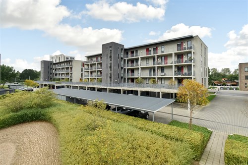 estate