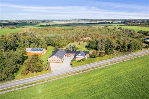 estate