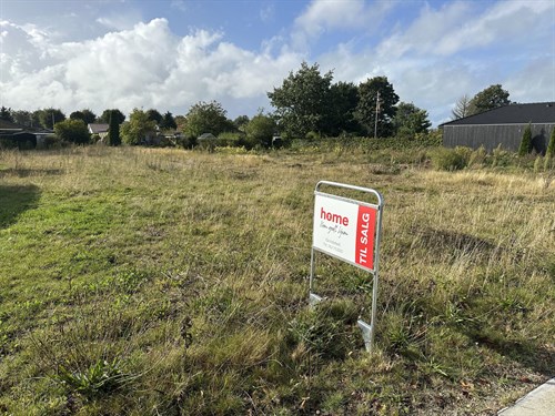 estate