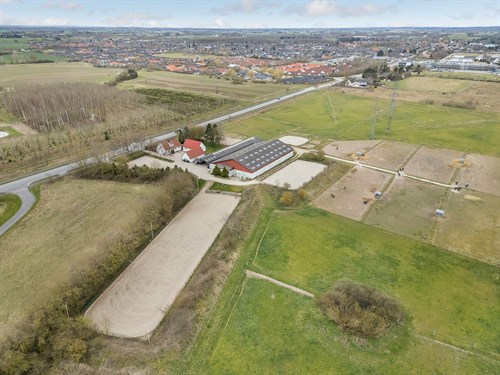 estate