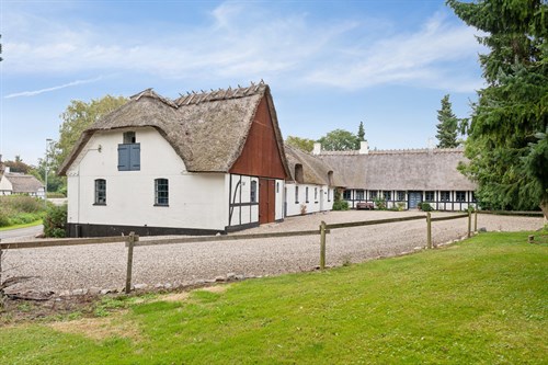 estate