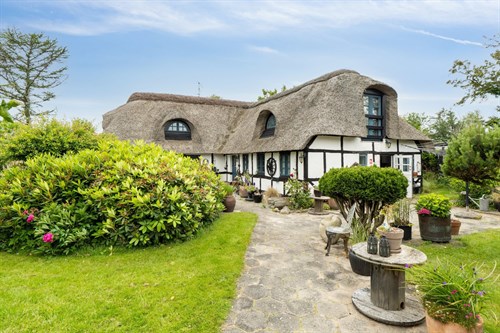 estate
