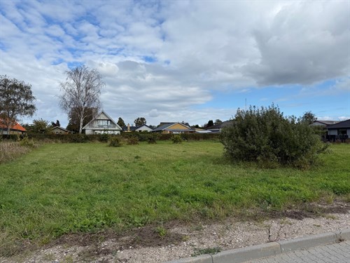 estate
