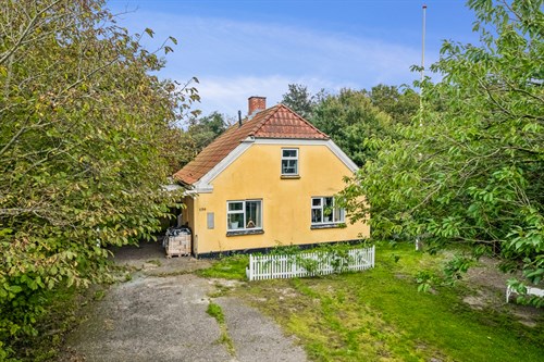 estate