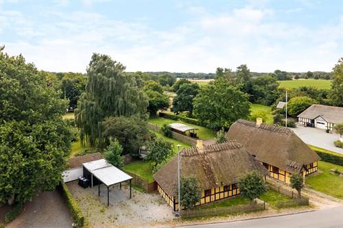 estate