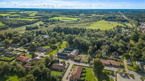 estate
