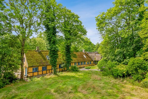 estate
