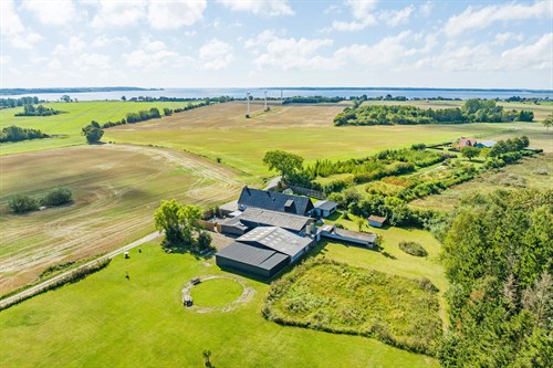 estate