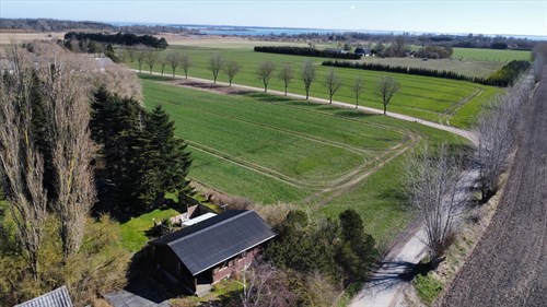 estate