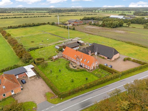 estate