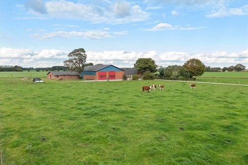 estate