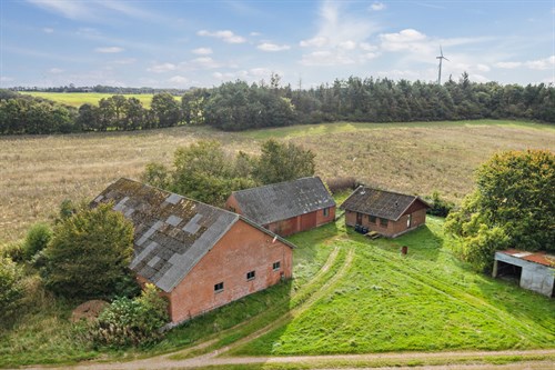 estate