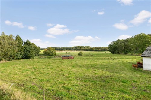 estate