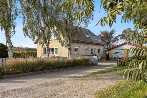 estate