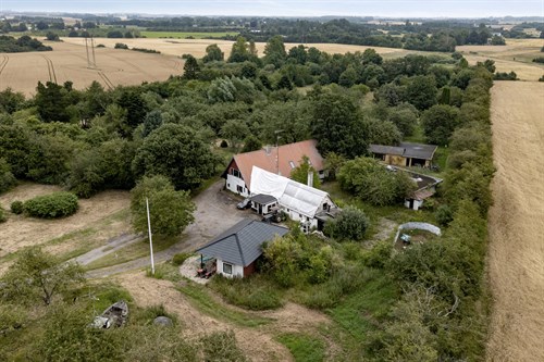 estate