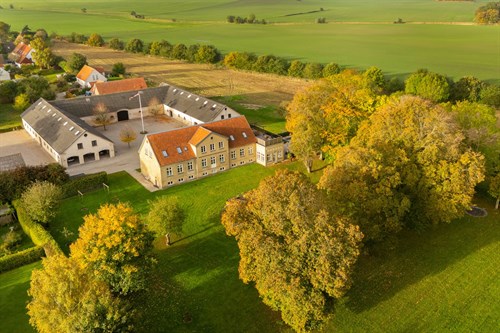 estate