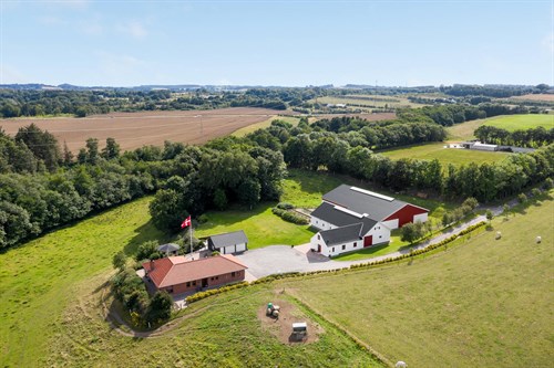 estate