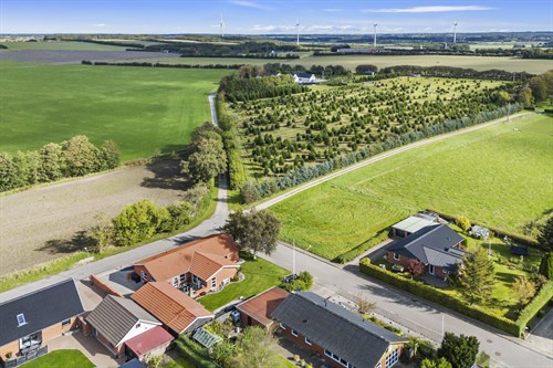 estate