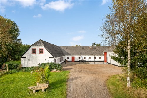 estate