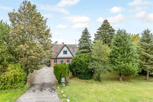 estate
