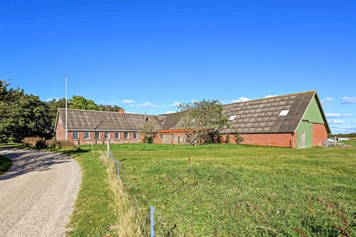 estate