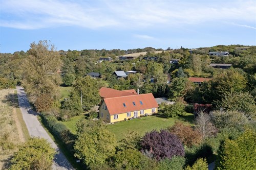 estate