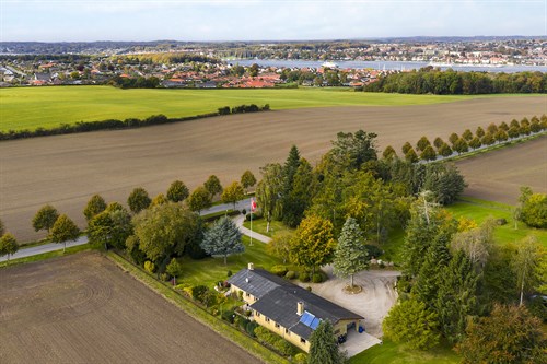 estate