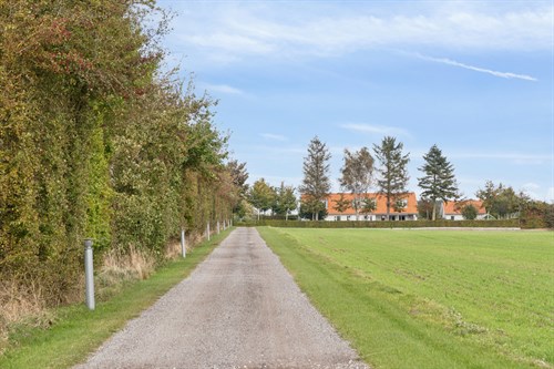 estate