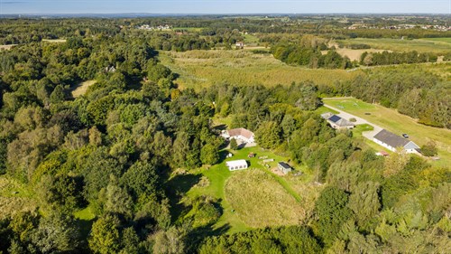 estate